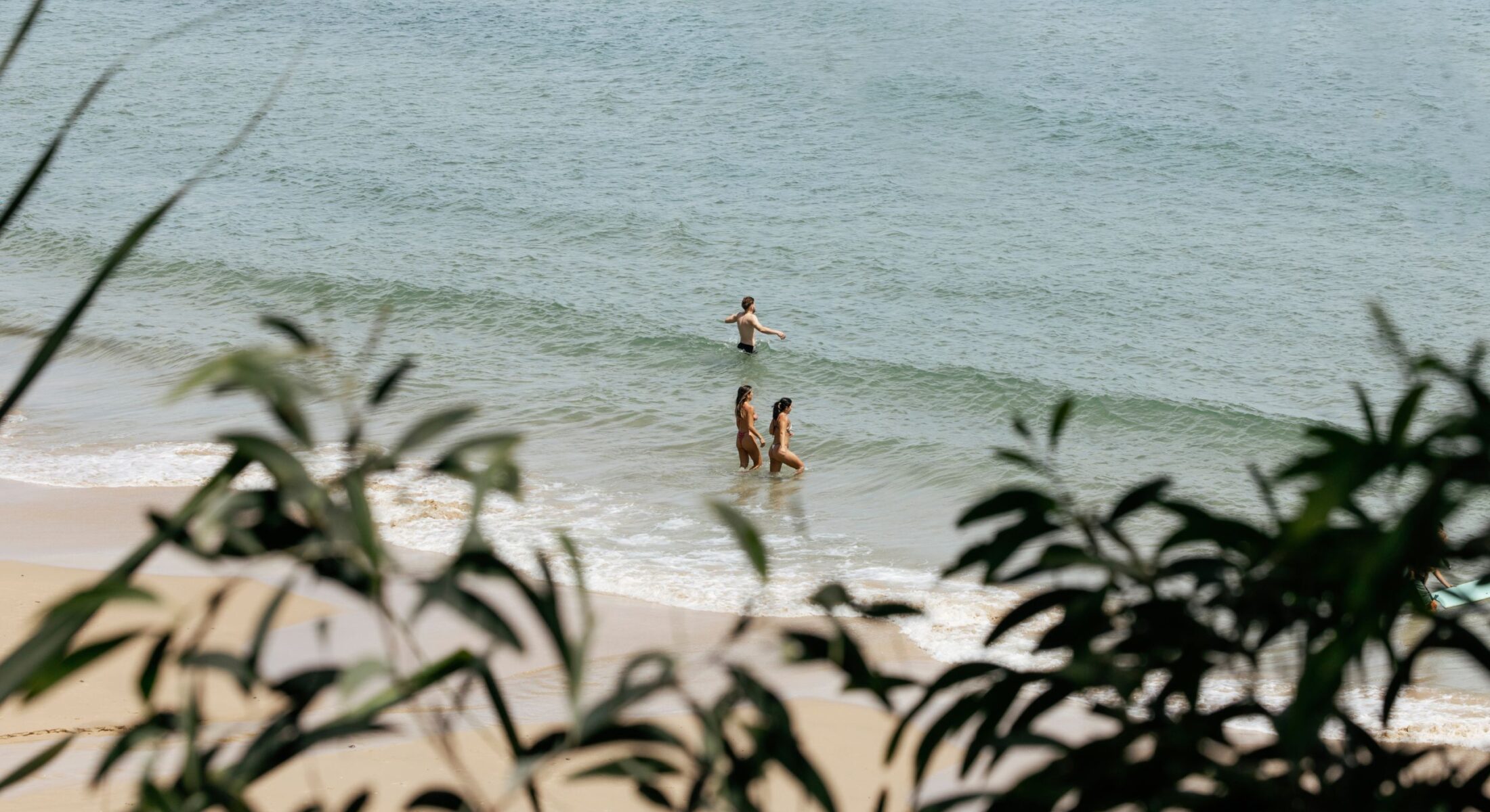 Sustainability - Elysium Noosa