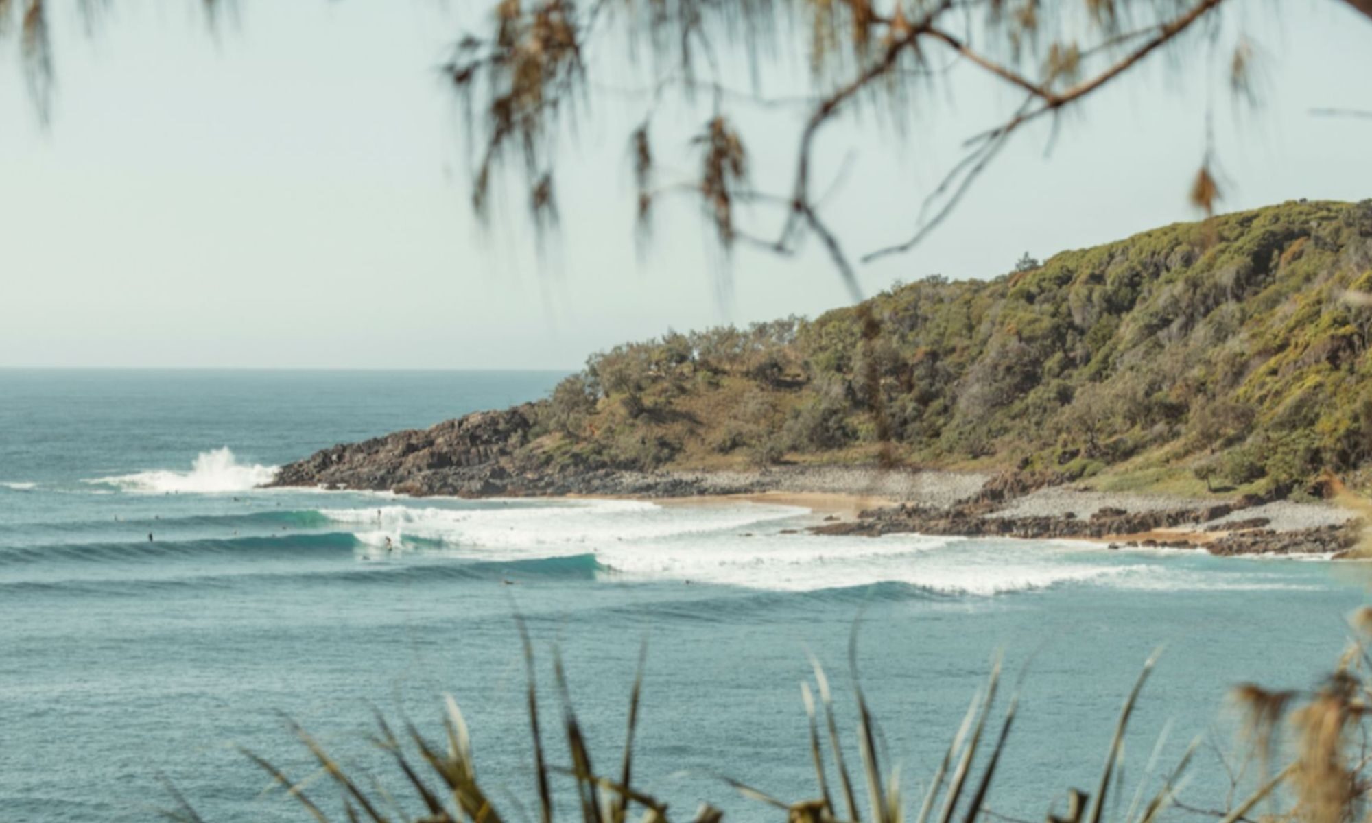Noosa National Park